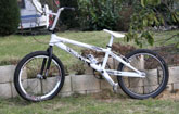 Dennis's HARO RACE LT