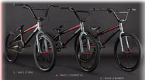 2014  HARO BMX  'RACE LT PRO'