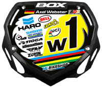 Custom BOX Sticker Axel Webster