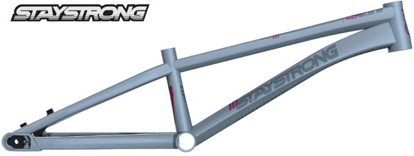 2023 STAY STRONG 'FOR LIFE V4'' Frame -Matte Grey