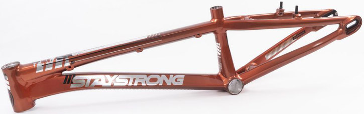 2023 STAY STRONG 'FOR LIFE V4'' Frame - Copper